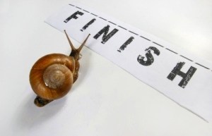 120830 Pace Yourself