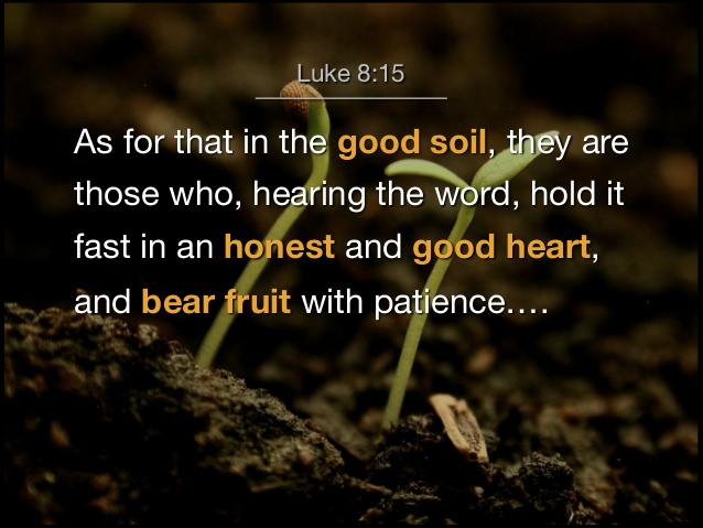 luke-8-15
