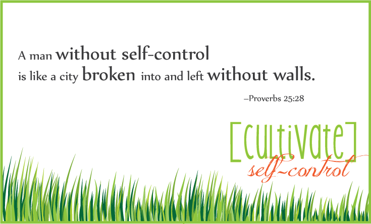 self-control-prov-2528